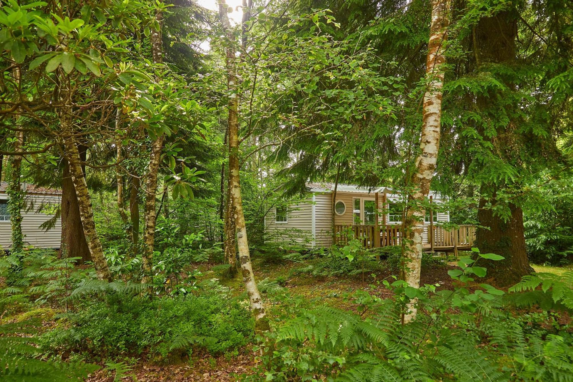 Camping Le Bois De Pleuven Saint-Yvi Luaran gambar