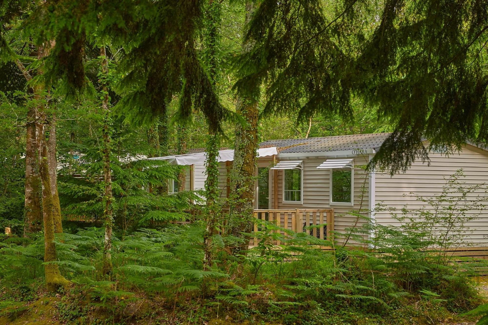 Camping Le Bois De Pleuven Saint-Yvi Luaran gambar